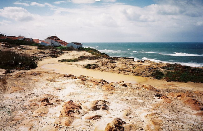 João Jungle - Foto 77