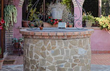 Agriturismo Il Pozzo - Foto 8