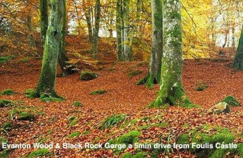 Foulis Cottage, Foulis Estate, Highland Scotland - Foto 24