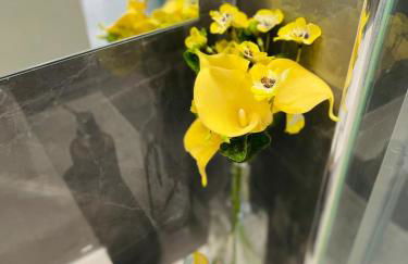 Acqua Marine - Foto 22