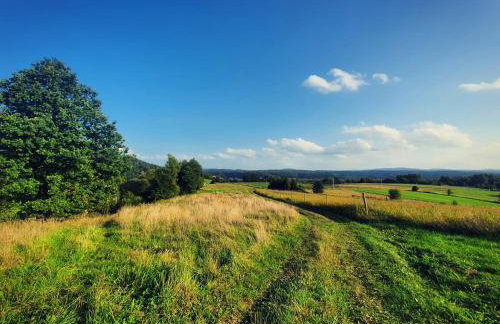 Dziubanowo - Foto 30