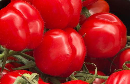 FeWo "Freiheit" - Panoramablick - großer Balkon, ganzjährig zu nutzen - schnelles WLAN - Parkplatz - 300 Meter zum Strand - Foto 10