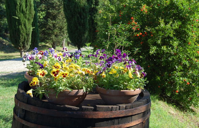 Borgo del Senatore - Foto 62