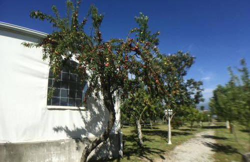 Welcoming villa near Penafiel with pool - Foto 17