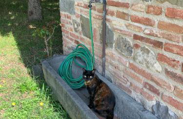 Tuscany Heritage Exclusive - La Ceppa - Foto 22