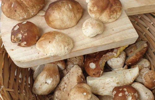 Casa Tiziano e Nila - Photo 30