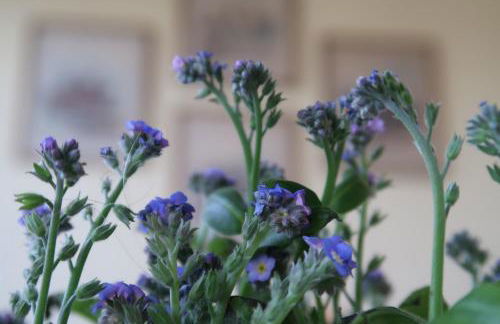 Ferienwohnung mit ländlichem Charme - Foto 9