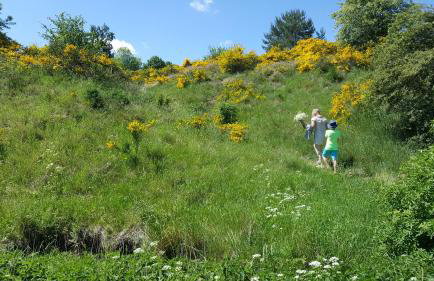 Domki Pozytywki - Foto 51