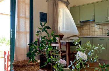 AMPELIA KYTHIRA - Foto 54