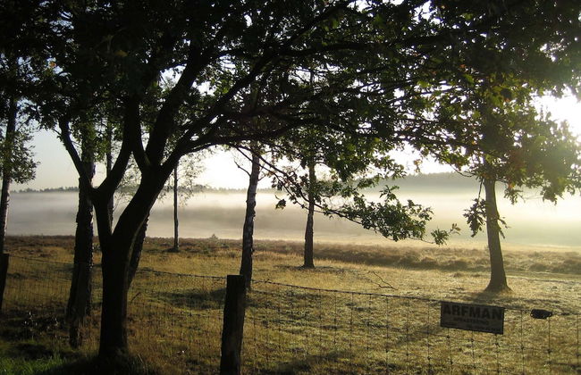 Hoenderloo Getaway With Pool - Photo 41