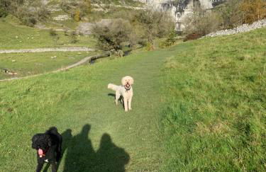 Prior Hall Farm Cottage - 3 bedroom luxury cottage in center of Malham - Foto 25