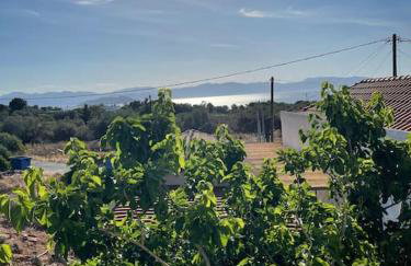 A View Home _ Agkistri - Foto 19