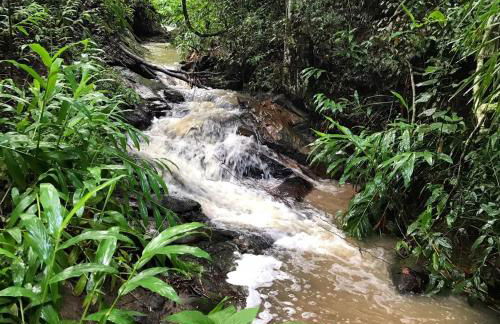 Casa Crudo, PRIVACIDADE NA MATA ATLÂNTICA, piscina, trilhas e descanso - Foto 74