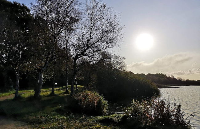 Rustic Holiday Home in Ansager near Water - Foto 5