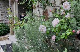 Les Cottages du Manoir, Jacuzzi -Crozon - Photo 34