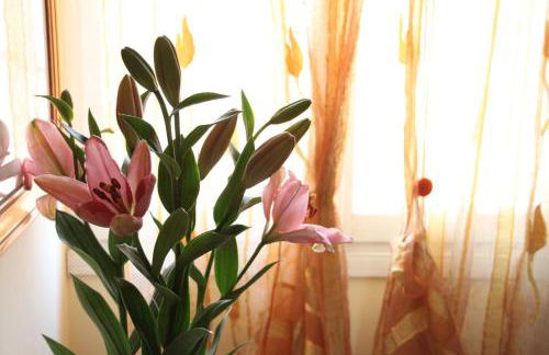 Residence Al Bacareto - Foto 2