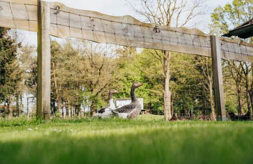 Gemütliche Ferienwohnung - Foto 8