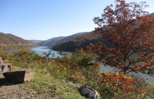 Historic cabin off I-77, views, antiques, Wi-fi, wonderful experience for 2! - Foto 29