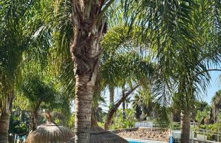 Nasila Beach & Golf - Foto 28