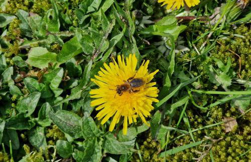 Wohnung Adlerhorst in Eversen-Heide - Foto 11