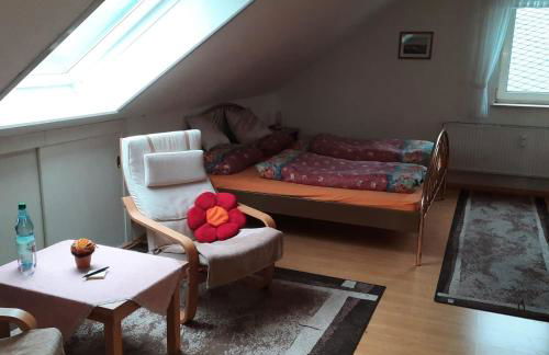 Ferienwohnung mit Rheinblick 2-4 Personen - Foto 1