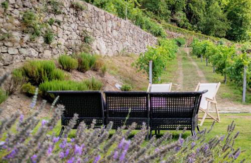 Melgaço Alvarinho Houses - Foto 9