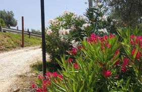 Il Merangolo - Foto 16