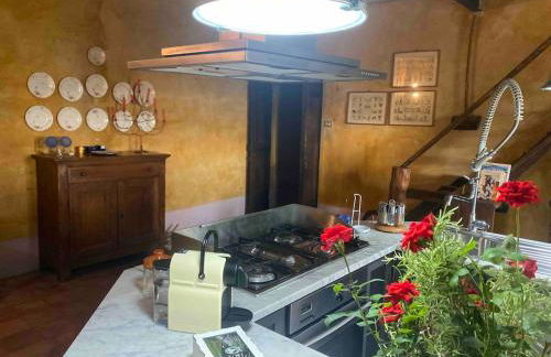 Castello Stella in Vaglio Serra ,Monferrato unesco - Photo 13