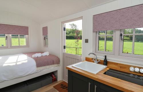 Dragonfly Shepherd's Hut - Photo 12