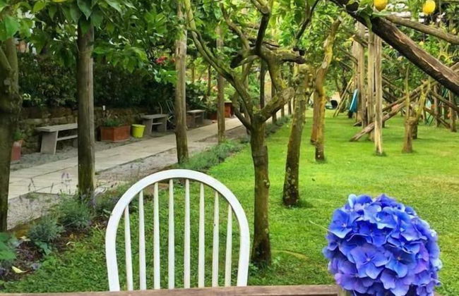 Agriturismo Il Convento - Photo 11