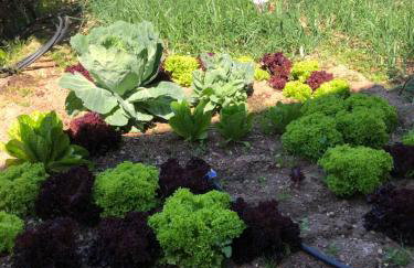 ARETI Sea View Mountain Cottage - Foto 24