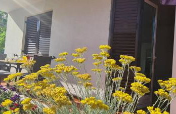 CAPTAIN MIRO - Foto 6