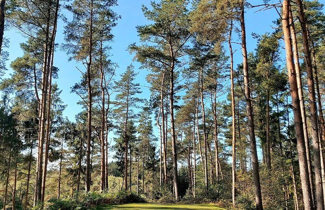 6 Person Holiday Home in Gjern-by Traum - Photo 35