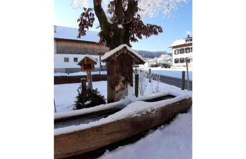 Holiday apartment at Gallus Denneberg - Foto 29