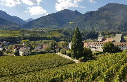 WEINBERG APARTMENTS with Brixen Südtirol Card - Photo 45