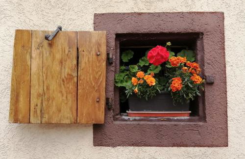 Gîte Le Patio - Foto 13