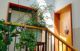 LA VECCHIA MASERA - Photo 33