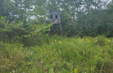 Deer Haven Cabin - Foto 62