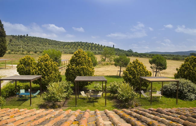 Poggio Agli Ulivi Agriturismo - Foto 67