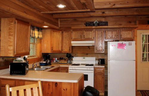 Pet-Friendly Cabin Rental in the Mountains near Beckley, West Virginia - Foto 16