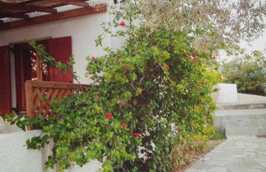 Vigla-Βίγλα 1 2 - Photo 72