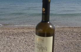 Alkisti's seaside apartments - Foto 3