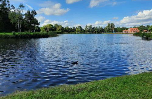 Ferienwohnung Am Moorweg - Foto 10