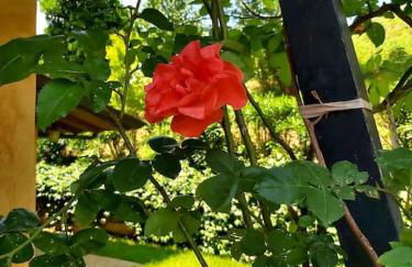 Il Fienile in Toscana A warm interior just a few minutes from the beach - Foto 30