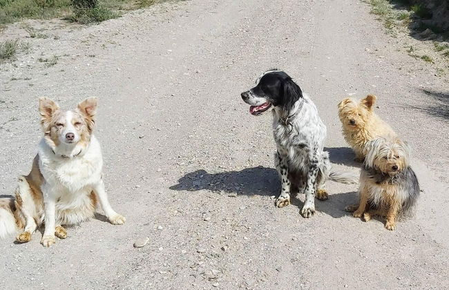 2-bed Villa Sleeps 5 - Private Pool & Free Parking - Foto 13