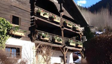 Chalet authentique luxe piscine - Foto 2