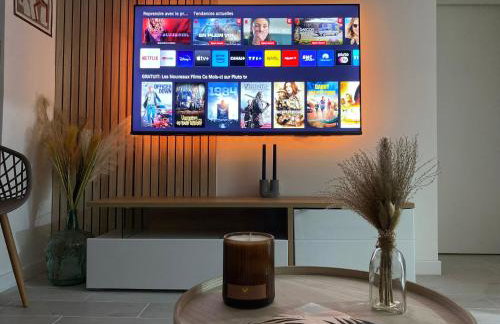 Appartement T2 cosy (aéroport - parc des expo - parc Astérix) - Foto 1