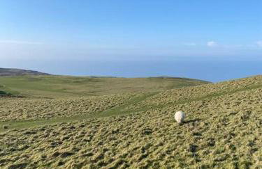 Oakhurst Boutique Apartment Llandudno - Foto 33