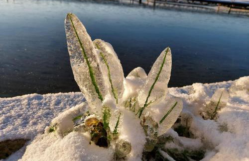Pauza Drzewoszewo - Dom nad jeziorem - Foto 49