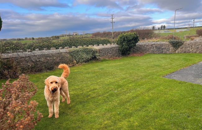 Detached Farmhouse 4 Bed/sleeps 9, Mountain Views! - Foto 31